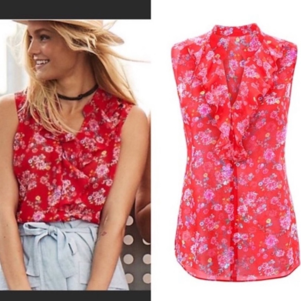 CAbi #5219 Crush Floral Sheer MEDIUM Blouse